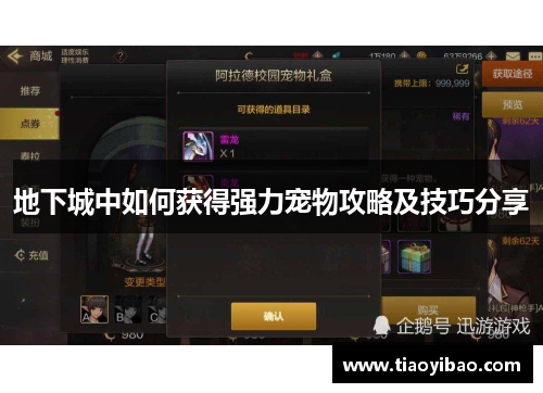 地下城中如何获得强力宠物攻略及技巧分享