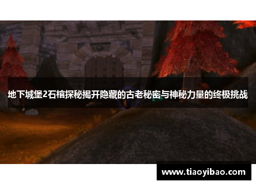 地下城堡2石棺探秘揭开隐藏的古老秘密与神秘力量的终极挑战